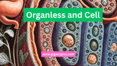 A visual representation of the interconnected levels of biological organization, from molecules to biomes, illustrating the complexity and coordination of life.