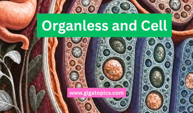 A visual representation of the interconnected levels of biological organization, from molecules to biomes, illustrating the complexity and coordination of life.